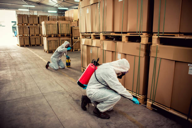 Best Cockroach Control Services  in Rincon, GA
