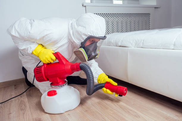 Professional Pest Control in Rincon, GA
