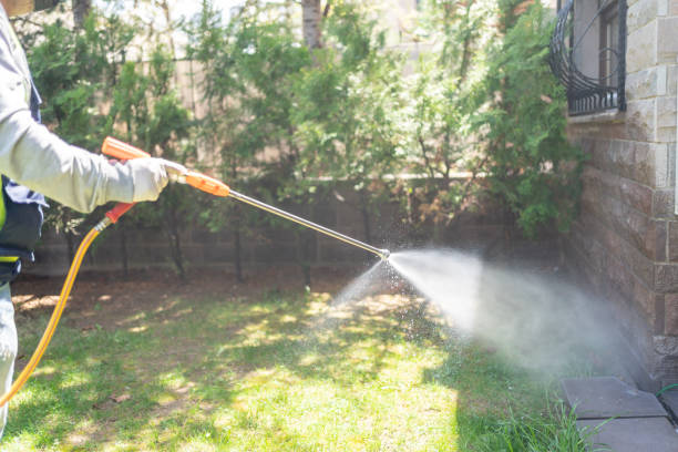 Trusted Rincon, GA Pest Control Experts