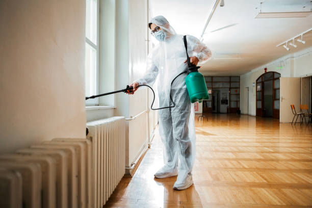 Best Best Pest Control Companies  in Rincon, GA